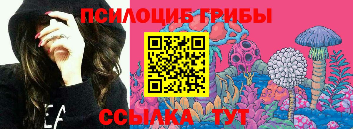 Псилоцибиновые грибы Magic Shrooms  Вход с VPN  Псилоцибиновые грибы Cubensis  Сургут 
